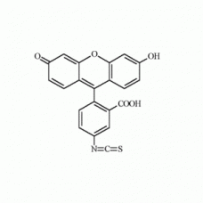 90020 ФИТЦ (флуоресцеин-5-изотиоцианат), Biotium, 500 мг