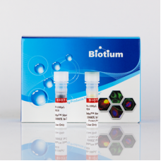 30106 Набор для окрашивания мембран CellBrite® 488 Steady Membrane Staining Kit, 500 реакций, Biotium