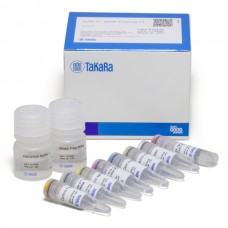 632639 Набор для скрининга sgRNA Guide-it™ sgRNA Screening Kit, 50 реакций, Takara BIO 