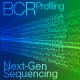 634467 Набор для синтеза библиотек SMARTer® Human BCR IgG IgM H/K/L Profiling Kit, 48 реакций, Clontech, Takara BIO