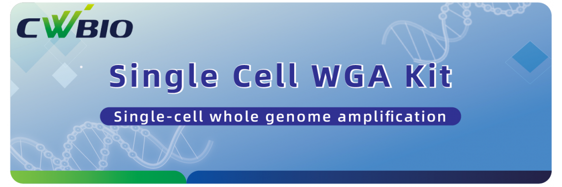 Single Cell WGA