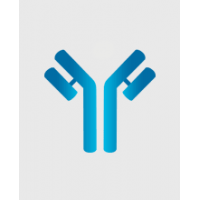 CUSABIO - новый партнер - производитель антител и наборов ИФА!