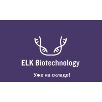 ELK Biotechnology - реагенты на складе!