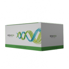 E1050 Набор для выделения бактериальной ДНК EcoSpin Bacterial Genomic DNA Kit, 50 реакций, EcoTech Biotechnology