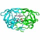 Ферменты модификации белков и нуклеиновых кислот