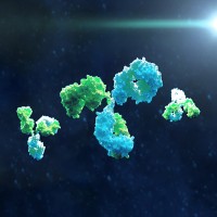 Антитела для проточной цитометрии от Biotium