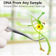 Геномная ДНК - выделение и очистка