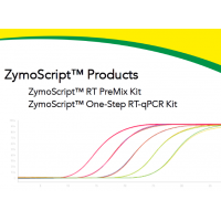 Новинки ZymoScript для ОТ-ПЦР от Zymo Research