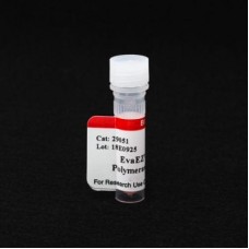 29051 Набор для определения активности полимеразы EvaEZ™ Fluorometric Polymerase Activity Assay Kit, 2х1 мл, Biotium