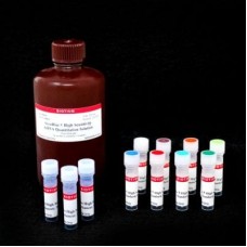 31006 Набор для количественного определения ДНК 0,2-100 нг  AccuBlue® High Sensitivity dsDNA Quantitation Kit with DNA Standards, 1000 реакций, Biotium