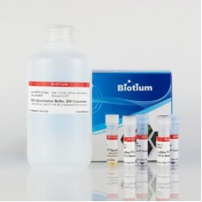 31060 Набор для определения концентрации дцДНК 1-3000 пг AccuBlue® NextGen dsDNA Quantitation Kit, 1000 реакций, Biotium