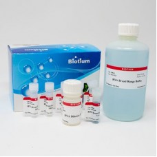 31073 Набор для количественного определения РНК 5-1000 нг AccuBlue® Broad Range RNA Quantitation Kit, 1000 реакций, Biotium