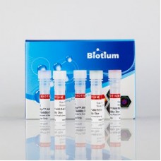 32016 Набор для выявления жизнеспособных клеток для проточной цитометрии, стандартный набор красителей Live-or-Dye™ Sampler Kit Standard, 250 реакций, Biotium