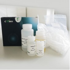 CW2302M Набор для выделения ДНК из геля Gel Extraction Kit, 200 реакций, CoWin Biotech