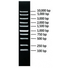 CW2583S Маркер ДНК Super DNA Marker, 100 реакций, CoWin Biotech