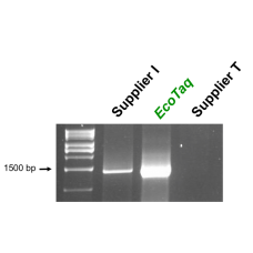 ET-5 Смесь для проведения ПЦР EcoTaq 2X PCR Master Mix, 200 реакций, EcoTech Biotechnology