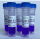 LL5ML Буфер для пробоподготовки белков для электрофореза Lyse & Load, 5x1 мл, EcoTech Biotechnology