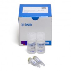 631450 Реагент для трансфекции РНК Xfect™ RNA Transfection Reagent, 1,2 мл, Takara BIO