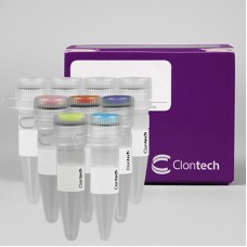 639210 Набор для ПЦР Titanium® Taq PCR Kit, 100 реак., Takara BIO (Clontech)