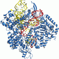 632641 Рекомбинантный белок Cas9 Guide-it Recombinant Cas9, 100 мкг, Takara BIO