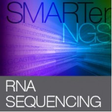 634486 Набор для синтеза библиотек SMARTer® Stranded Total RNA-Seq Kit v3 - Pico Input Mammalian, 48 реакций, Takara BIO