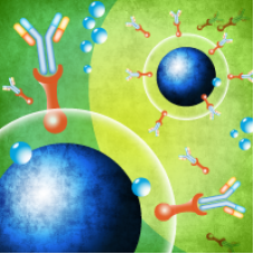632375 Моноклональные антитела к GFP Living Colors® GFP Monoclonal Antibody, 100 мкл, Clontech, Takara BIO