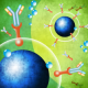 632375 Моноклональные антитела к GFP Living Colors® GFP Monoclonal Antibody, 100 мкл, Clontech, Takara BIO