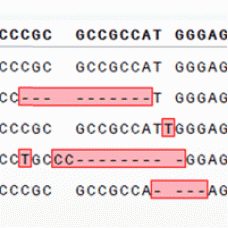 631444 Набор для идентификации изменений в геноме Guide-it™ Indel Identification Kit, 10 реакций, Takara BIO