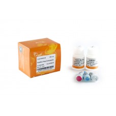 AD501-01 Набор для генотипирования мышей TransDirect® Mouse Genotyping Kit, 100 реакций×20 мкл, TransGen Biotech