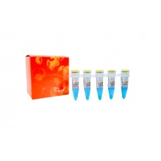 AS231-11-V4 Смесь для ПЦР c красителем 2×TransStart® FastPfu Fly PCR SuperMix (+dye), 1 мл, TransGen Biotech