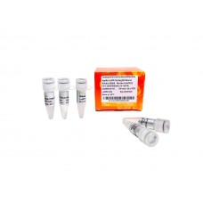 AU341-02 Набор для синтеза кДНК TransScript® Uni All-in-One First-Strand cDNA Synthesis SuperMix for qPCR (One-Step gDNA Removal), 100 мкл, TransGen Biotech