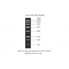 BM161-01 ДНК маркер Trans15K DNA Marker, 500 мкл, TransGen Biotech