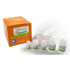 EE101-01 Набор для выделения геномной ДНК  (с РНказой А) EasyPure®, 50 реакций, TransGen Biotech