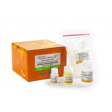 EG101-01 Набор для выделения ДНК из гелей EasyPure® Quick Gel Extraction Kit, 50 реакций, TransGen Biotech