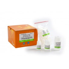 EP101-02 Набор для очистки ПЦР-фрагментов EasyPure® PCR Purification Kit, 200 реакций, TransGen Biotech