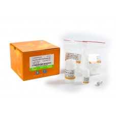 ER701-01 Набор для очистки и концентрирования РНК EasyPure® RNA Purification Kit, 25 реакций, TransGen Biotech