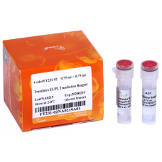 FT231-02 Реагент для трансфекции EL/PL  TransIntro®, 0.75 мл+0.75 мл, 1 шт,  TransGen Biotech