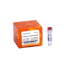 FT301-01 Трансфекционный реагент TransIntro™ PL, 0,75 мл, TransGen Biotech