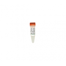 M5005-50 Маркер для электрофореза ДНК ZR 100 bp DNA Marker (Ready-to-Load) 50 µg, 600 мкл, Zymo Research