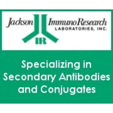 115-035-003 Антитела козы к IgG (H+L) мыши конъюгат с HRP, 2 мл, Jackson Immuno Research