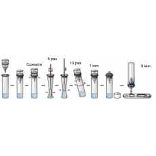 BE0042011003 Набор реагентов для ИХА выявления антигена SARS-CoV-2 из зева или носоглотки человека, 20 шт/упак, WeSail Biotech